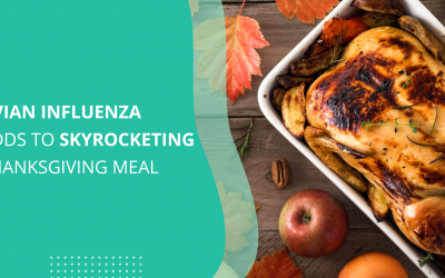 Avian Influenza Adds to Skyrocketing Thanksgiving Meal