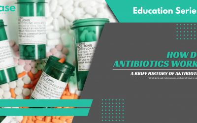 How do Antibiotics Work?