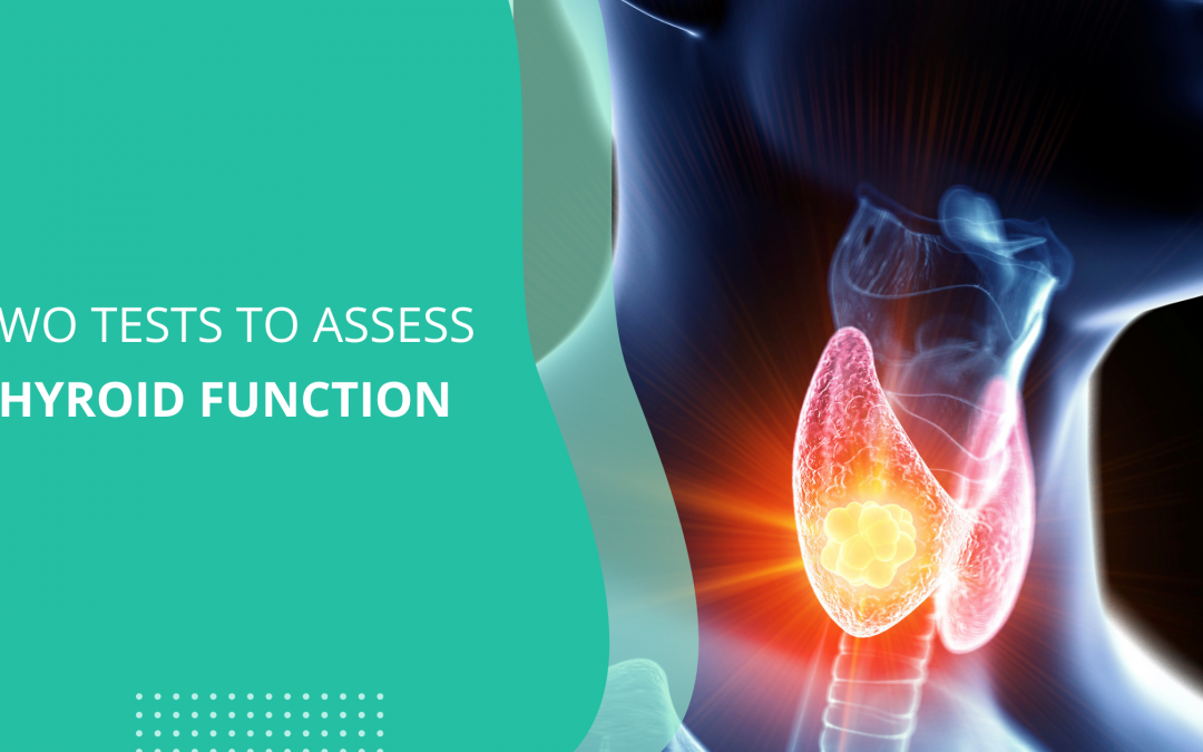 Two Tests to Assess Thyroid Function